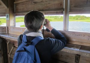 baie du cotentin observatoire marais nature oiseaux visite maison parc